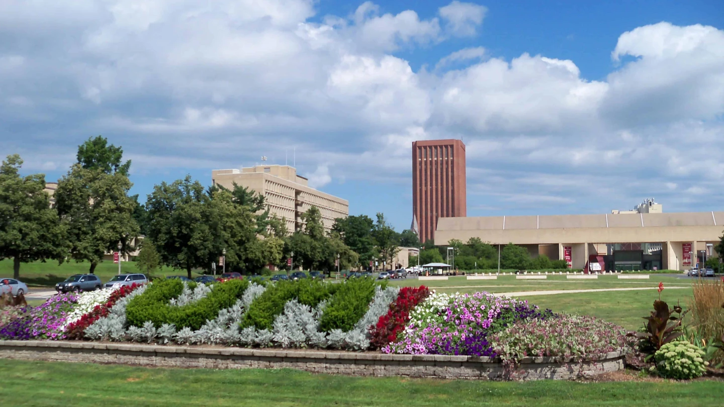 University of Massachusetts Amherst