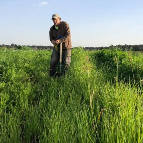 Ben Rosenberg will let his organic farm rest during the Jewish sabbatical year. Credit: Ben’s Farm.
