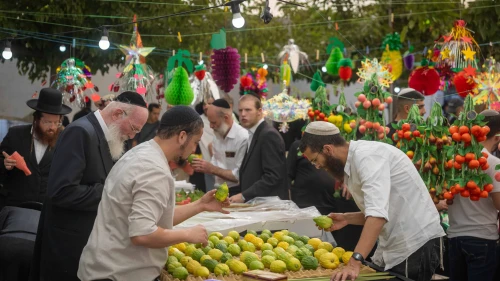 Jews examine a citron, known as an etrog, for purchase at a 'four-species' market ahead of Sukkot in Jerusalem, Oct. 3, 2025. Photo by Chaim Goldberg/Flash90.