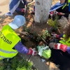 JAFI Rishon Letzion