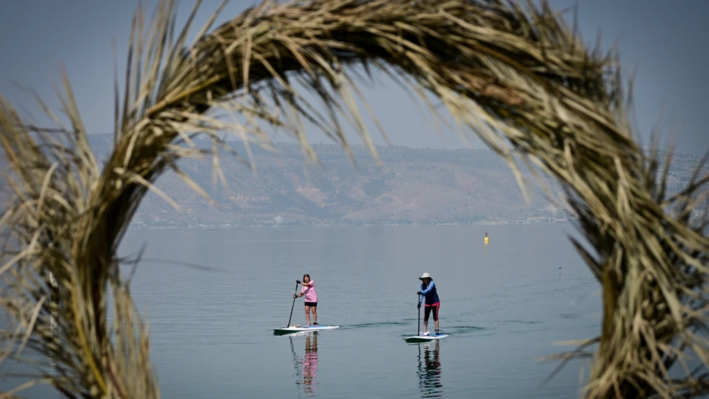 Stand up paddle board
