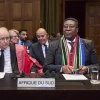 Vusimuzi Madonsela