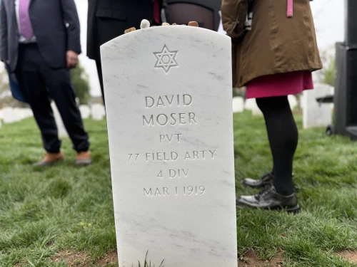 David Moser