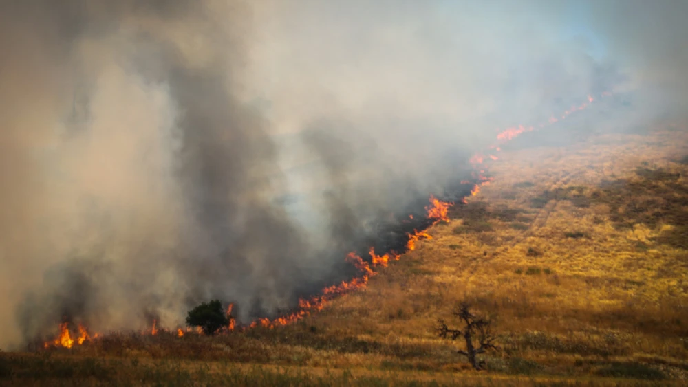 A forest fire near Kiryat Tiv'on in northern Israel, June 1, 2020. Photo by Yossi Zamir/Flash90.
