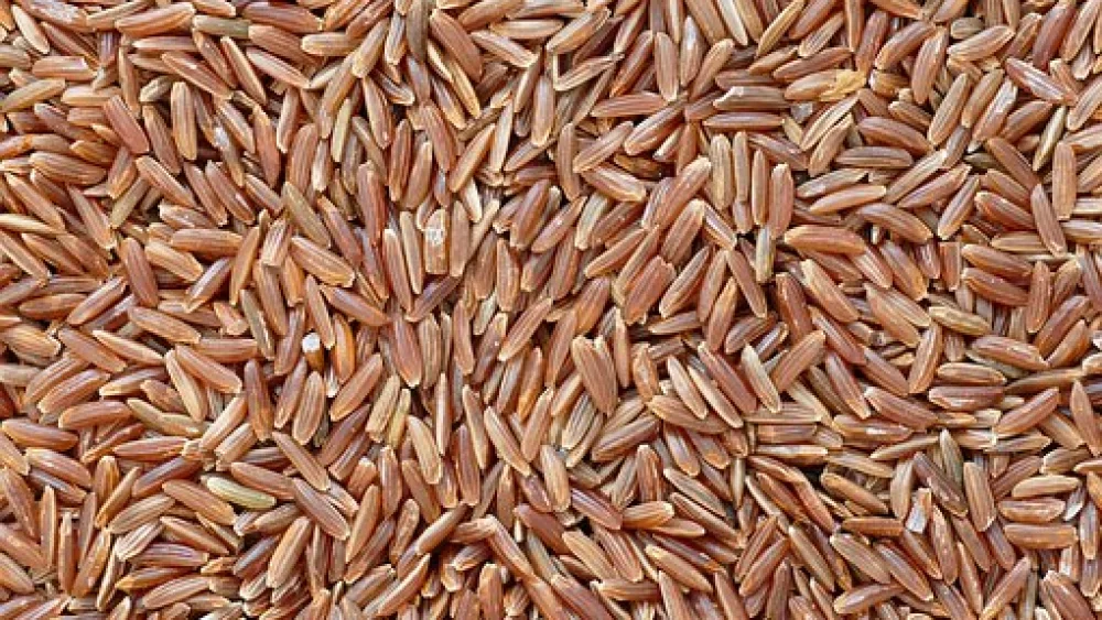 Long-grain rice. Credit: Pixabay.