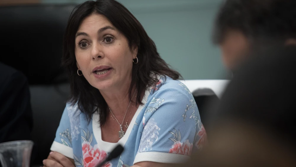 Minister of Culture and Sports, Miri Regev, attends a Culture, Sports and Eductaion Committee meeting at the Knesset, the Israeli parliament on July 2, 2018. Photo by Hadas Parush/Flash90