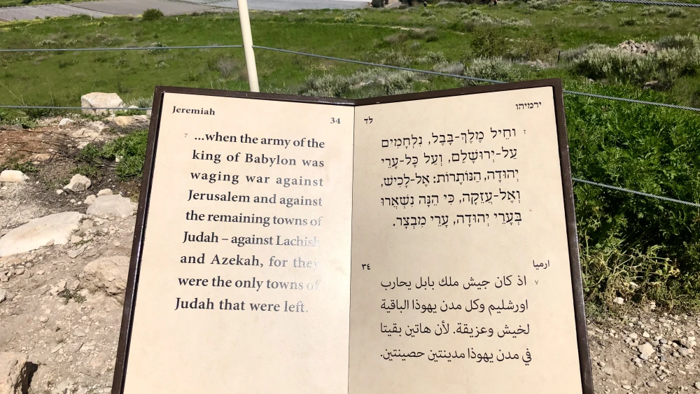 Tel Lachish. Photo by Judy Lash Balint.