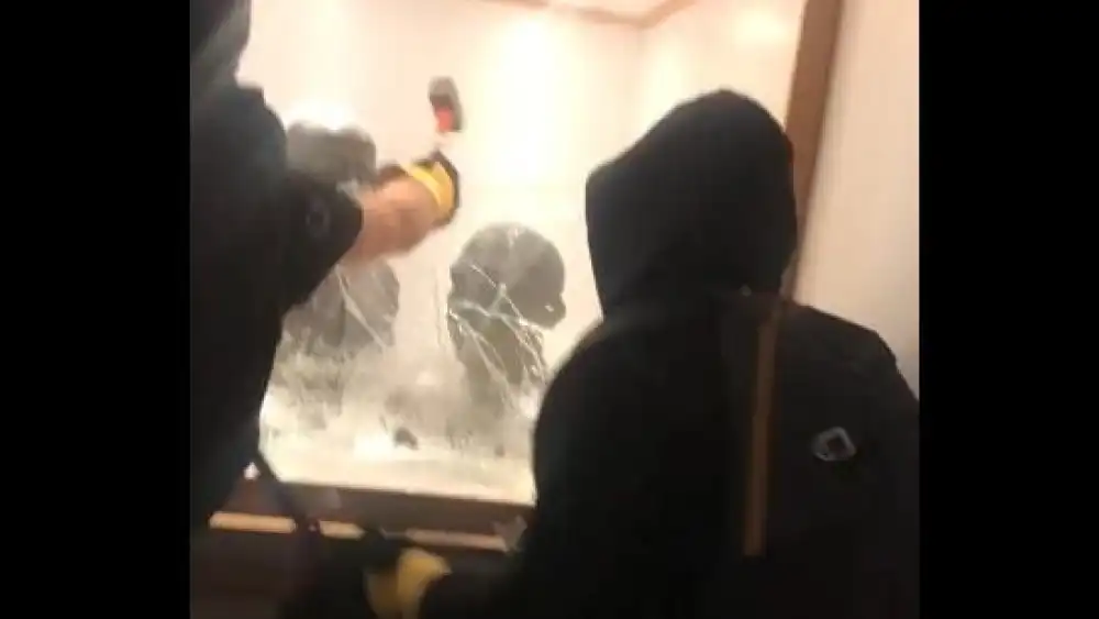 Masked anti-Israel protesters steal two busts of Chaim Weizmann at Manchester University, Nov. 2, 2024. Credit: X/Palestine Action.