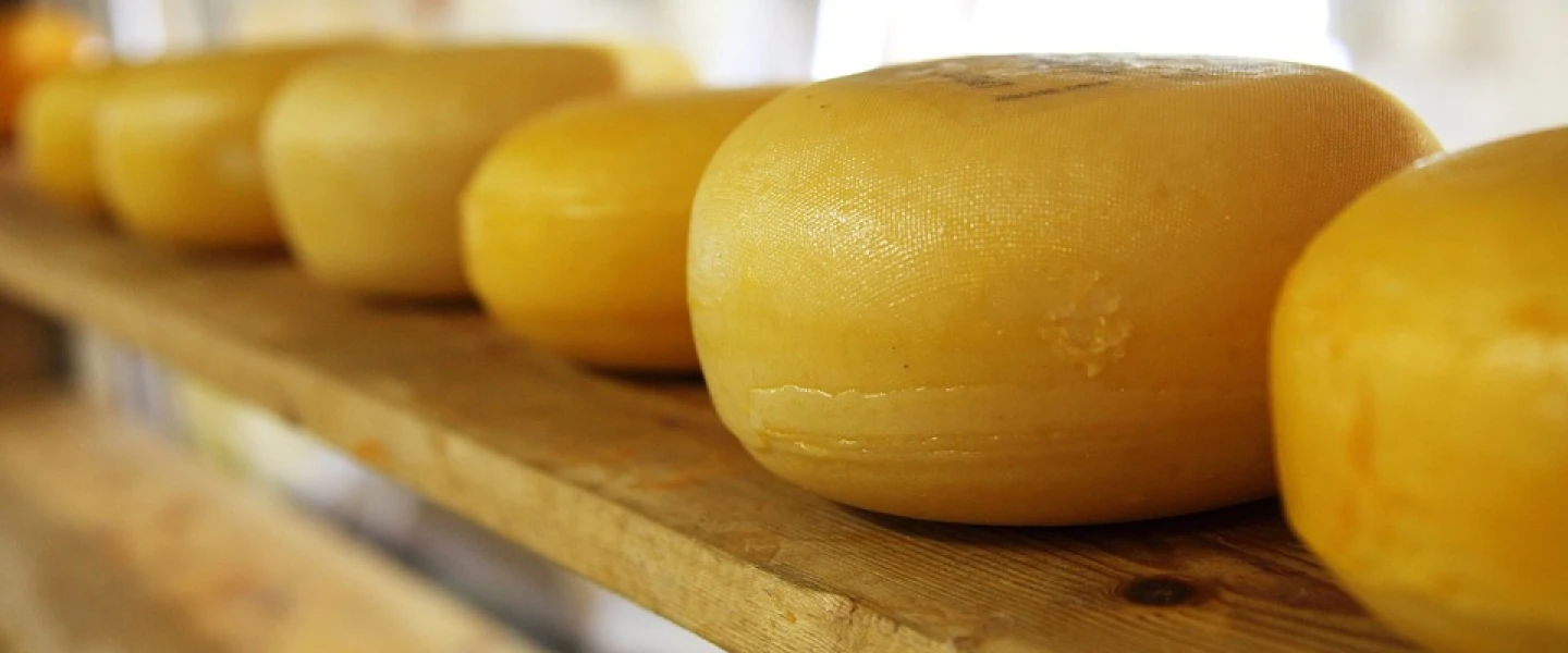 Cheese wheels. Credit: Pixabay.