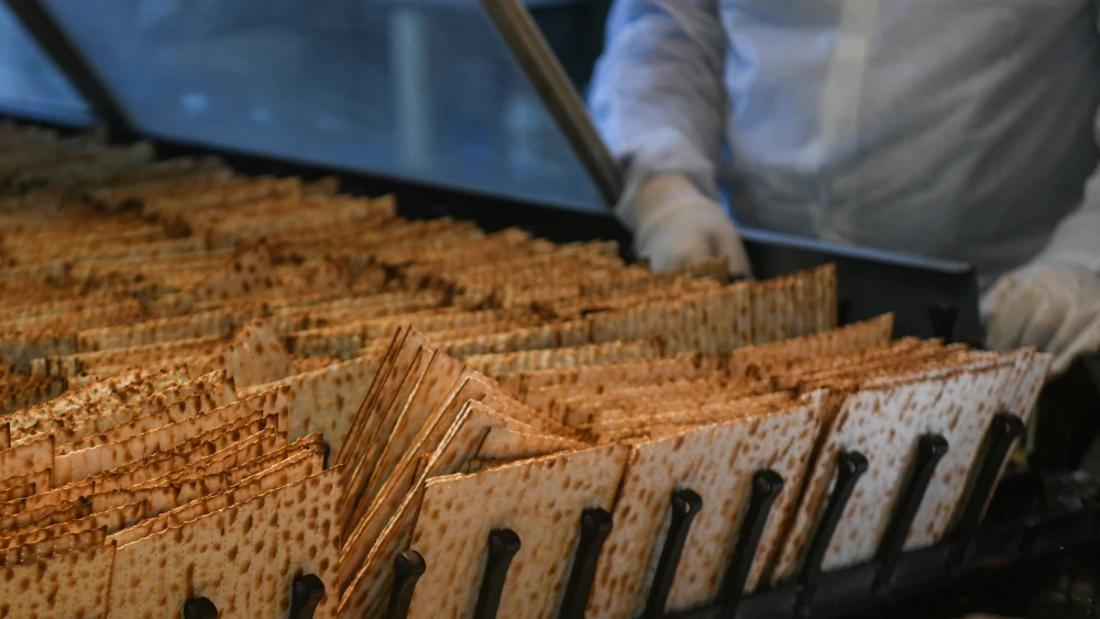 Workers prepare matzah ahead of the Passover holiday at the Aviv matzah plant in Bnei Brak on April 14, 2019. Photo by Flash90.