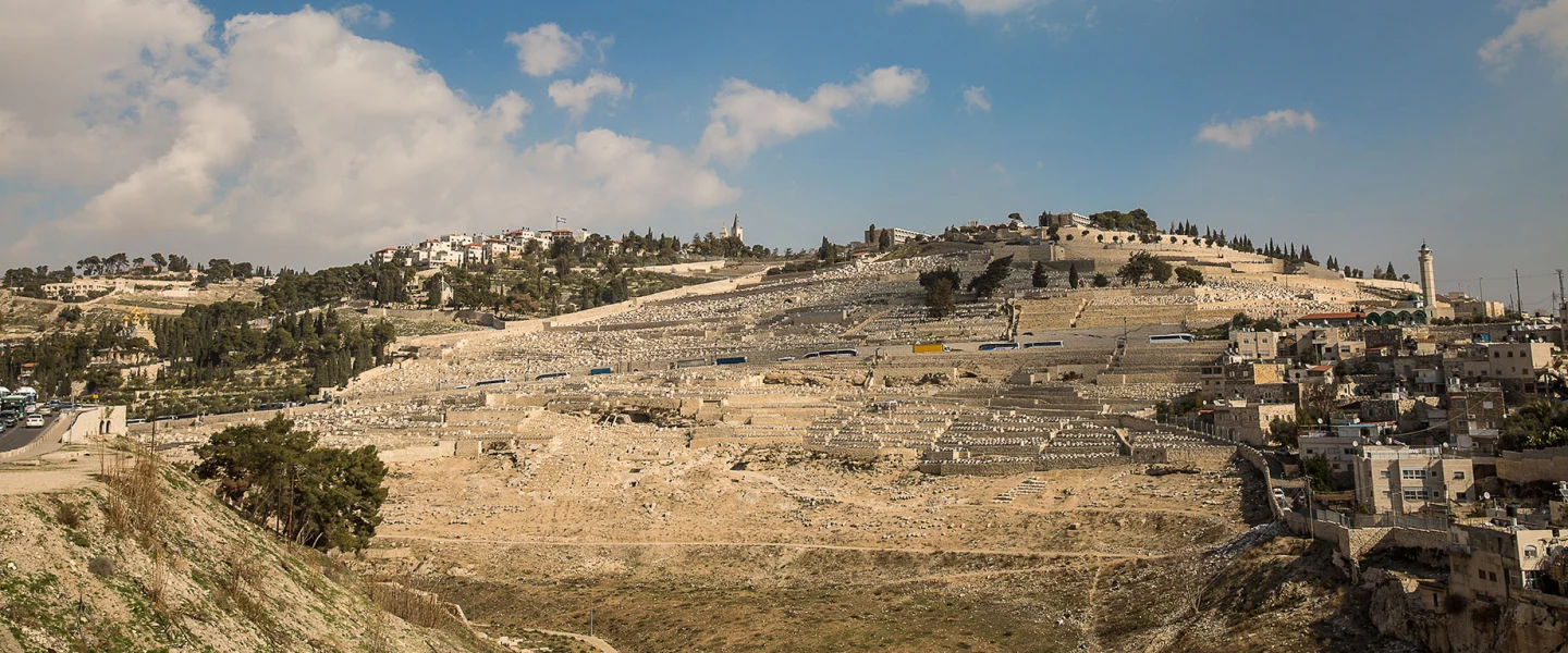 View of Har HaZeitim, Mount of Olives. Credit: International Committee for Har HaZeitim.