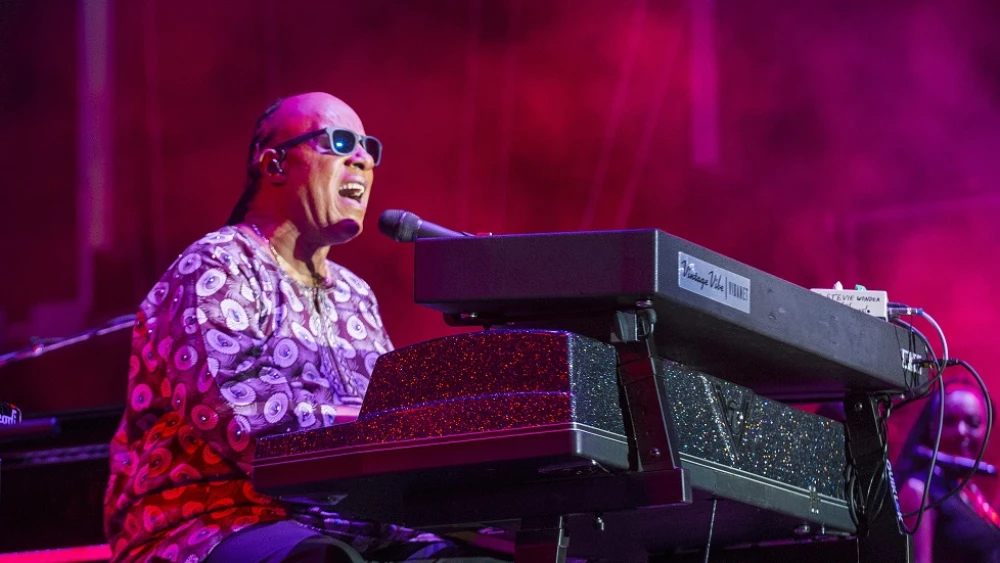 Singer-songwriter Stevie Wonder in 2015. Credit: Kobby Dagan/Shutterstock.