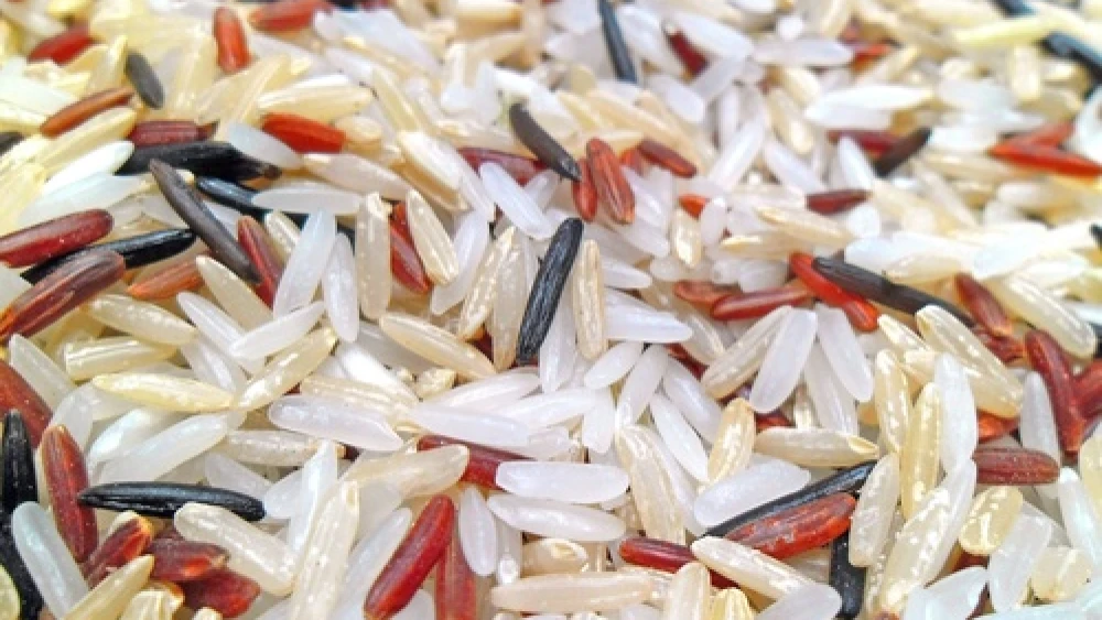 Rice, a form of kitniyot. Credit: Earth100 via Wikimedia Commons.