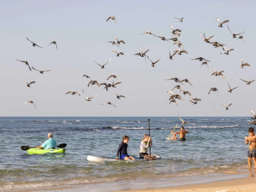 People enjoy the beach in Bat Yam, central Israel, Nov. 22, 2025. Photo by Dor Pazuelo/Flash90.