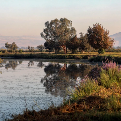 The Hula Valley lake in northern Israel, Oct. 22, 2021. Photo by Yossi Zamir/Flash90.