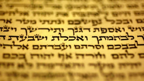 A mezuzah parchment with verses from the Shema prayer. Photo by Olivier Fitoussi/Flash90.