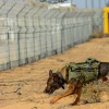 Soldiers from the IDF’s Oketz canine unit patrol in Kerem Shalom on the Gaza-Israel-Egypt border, May 18, 2022. Photo by Michael Giladi/Flash90.