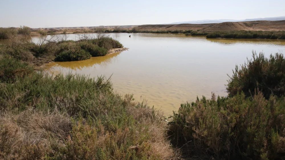 View of Wadi Malha in the Jordan Valley on March 9, 2019. Photo by Yossi Zamir/Flash90.