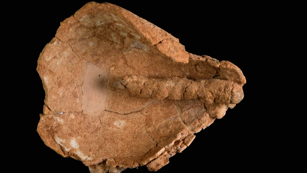 The oil lamp with a fabric wick is one of the oldest known in the world. Credit: Dafna Gazit, Israel Antiquities Authority.