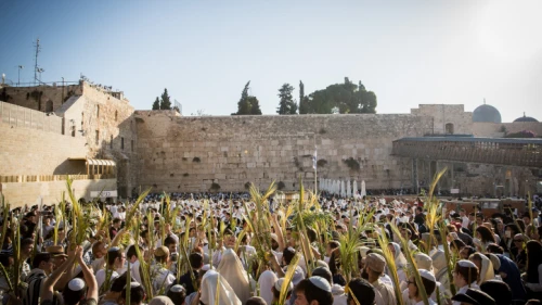 Jewish men hold the four plant species—palm leave stalk, citrus, myrtle and willow-branches—as they take part in the Hoshanah Rabbah prayer on the seventh day of Sukkot at the Western Wall in Jerusalem on Oct. 20, 2019. Photo by Yonatan Sindel/Flash90.