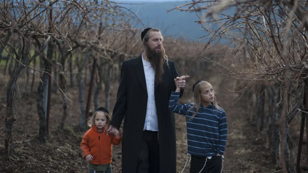 Israeli farmer Ira Zimerman with his children in his vineyard, which harvests grapes to serve a large area winery. Credit: The Shmitah Fund.