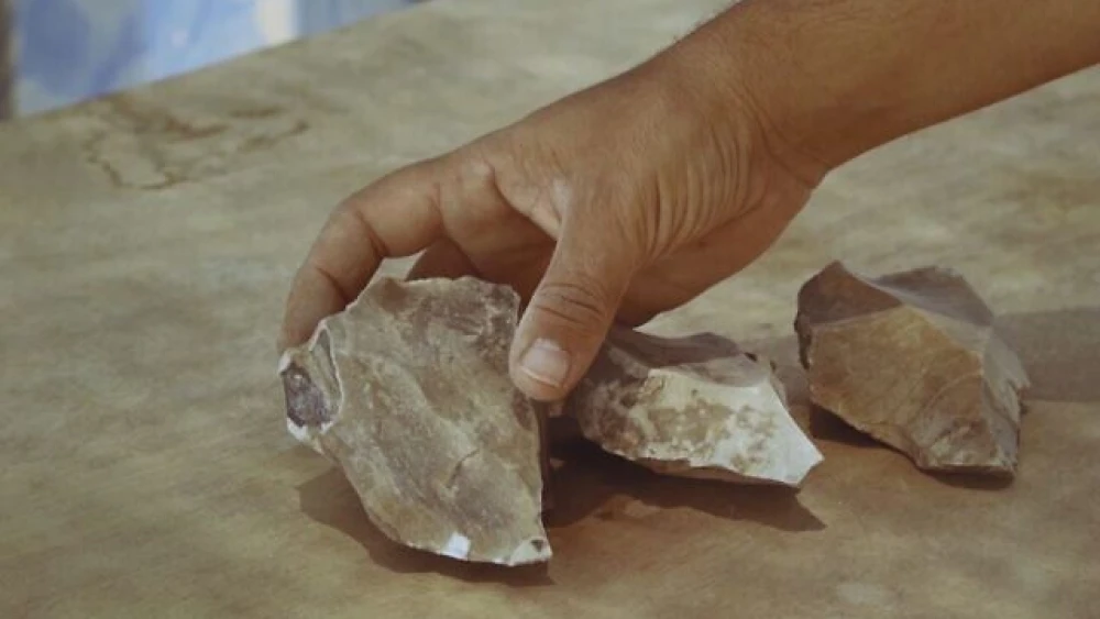 Ancient stone tools uncovered at a flint-knapping site near the city of Dimona in Israel's Negev Desert. Credit: Israel Antiquities Authority.