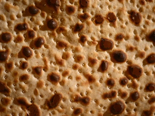 Passover Matzah