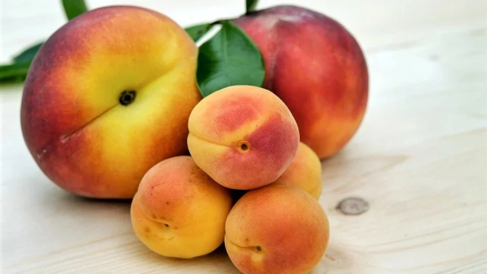 Peaches. Credit: Pixabay.