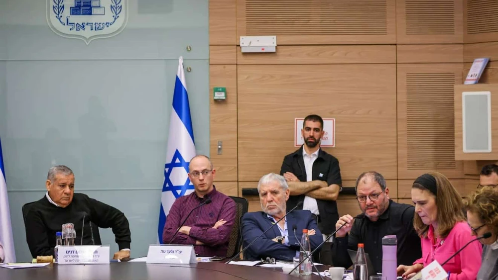 A joint session of the Knesset Foreign Affairs and Defense and Interior committees, March 4, 2024. Credit: Knesset Spokesperson's Office.