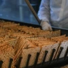 Workers prepare matzah ahead of the Passover holiday at the Aviv matzah plant in Bnei Brak on April 14, 2019. Photo by Flash90.