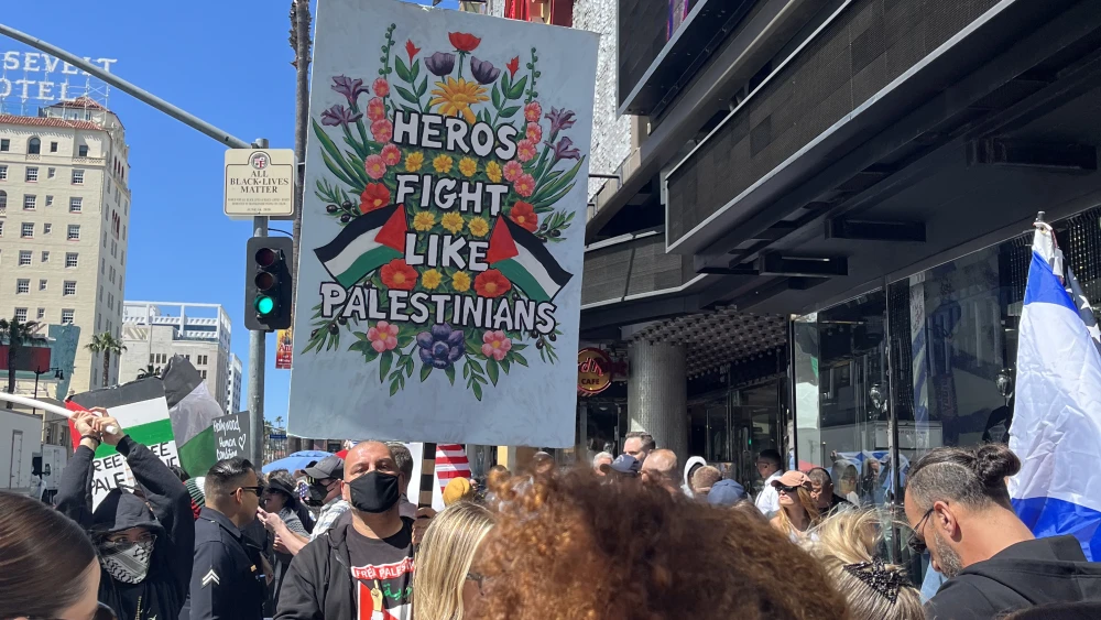 Gal Gadot star Hollywood