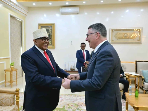 Somaliland President Abdirahman Mohamed Abdullahi hosts Israeli Foreign Minister Gideon Sa’ar in Hargeisa, Jan. 6, 2025. Credit: Israeli Ministry of Foreign Affairs.