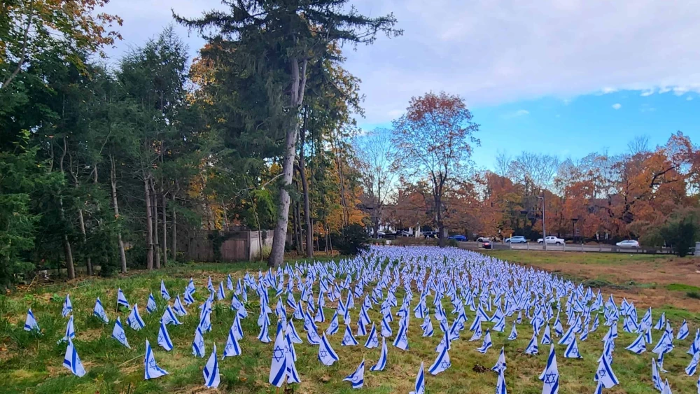Israeli flags Concord Massachusetts