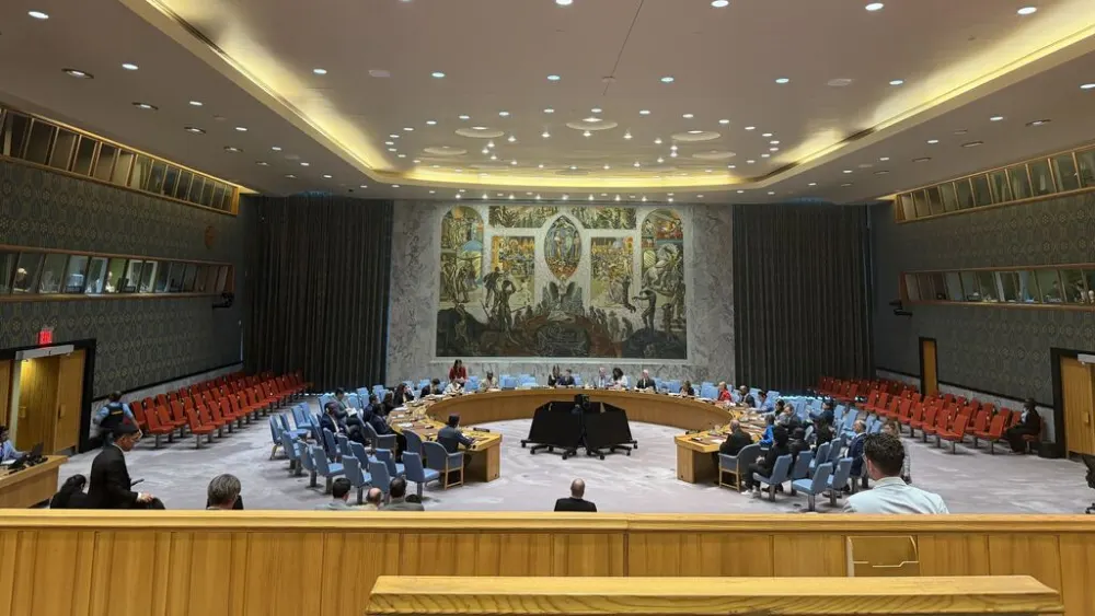 UN Security Council 