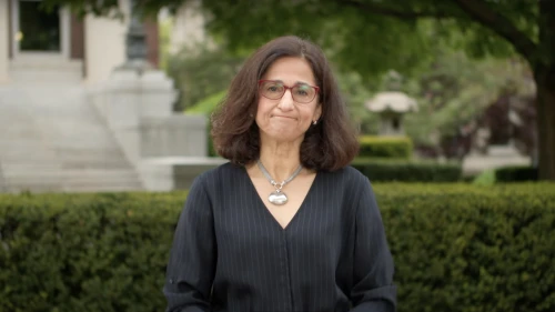 Minouche Shafik