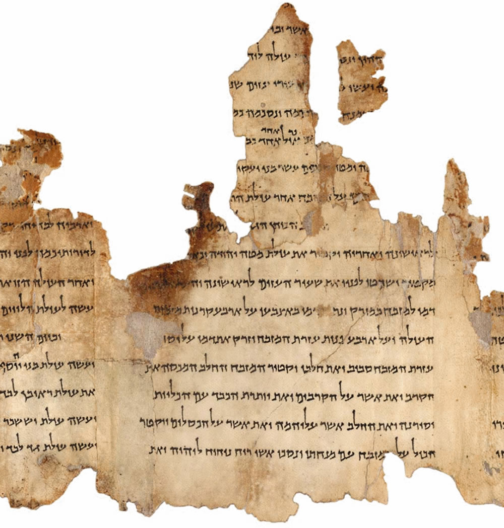 Portion of the Temple Scroll, labeled 11Q19, one of the longest of the Dead Sea Scrolls dating back to the second-century C.E. Credit: Israel Museum, Jerusalem.